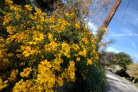 2007-12-27 Temescal Canyon