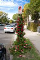 2007-03-04 Santa Monica Blvd